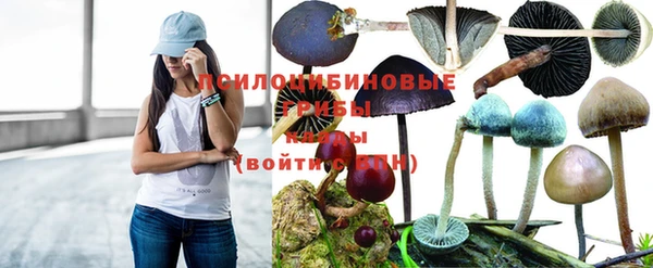 соль курить ск Балабаново