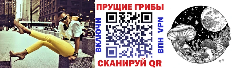 Псилоцибиновые грибы Psilocybe  где найти   Шацк 