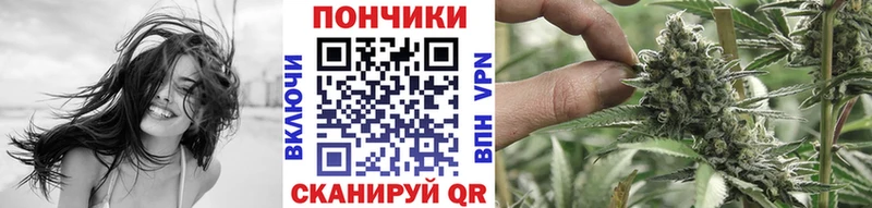 Шишки марихуана VHQ  что такое   Шацк 